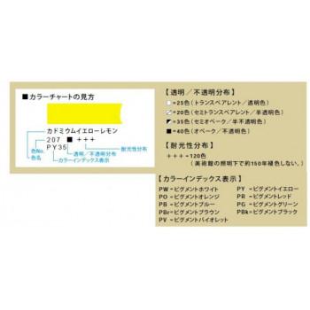 REMBRANDT レンブラント油絵具 ラグジュアリーボックス16色セット T0184-0004 410847の画像