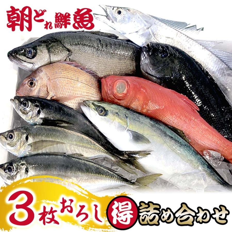 魚 三枚おろし 7種類以上 詰め合わせ 鮮魚セット 三浦半島 朝どれ 下処理 産地直送 ぷれみあむコース 海鮮 魚介類 刺身 新鮮生魚 送料無料 Sangho Premiam ピーチシルバー 通販 Yahoo ショッピング