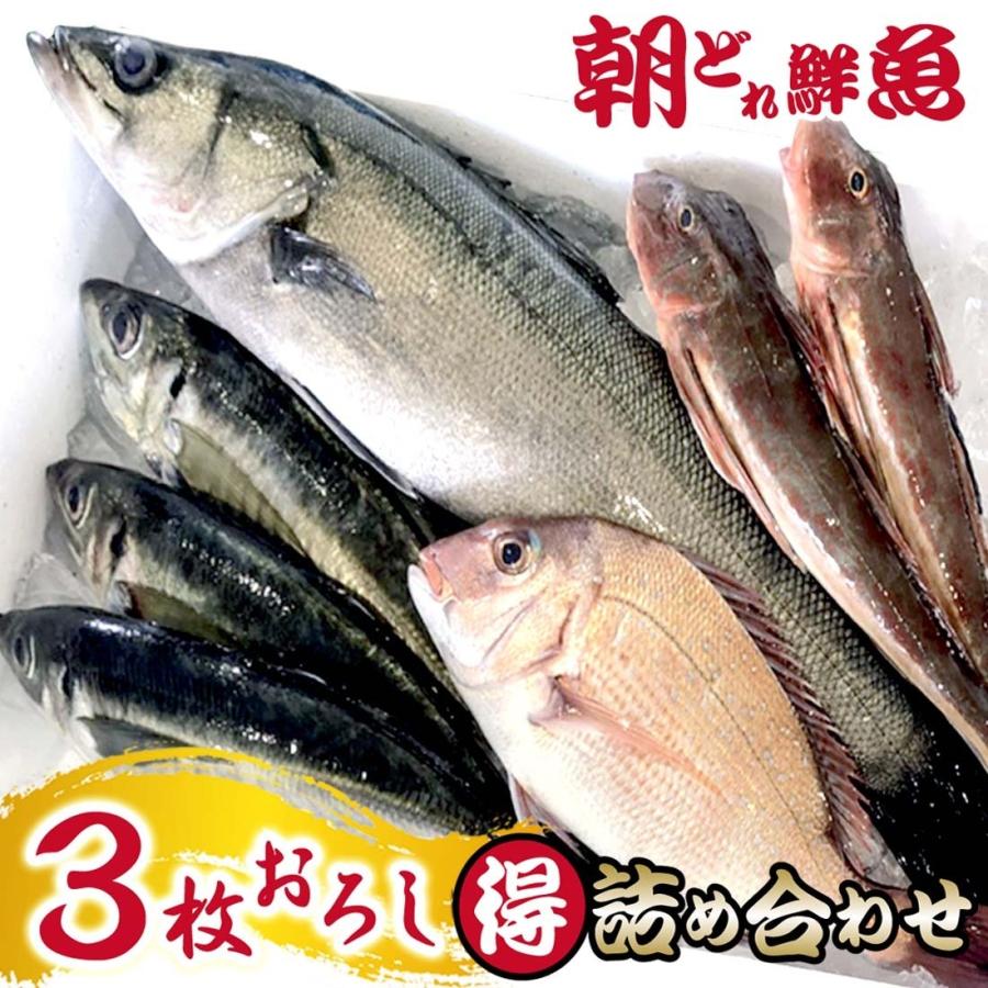 魚 三枚おろし 3 4種類 詰め合わせ 鮮魚セット 三浦半島 朝どれ 下処理 産地直送 すたんだあどコース 魚介類 海の幸 地魚 刺身 送料無料 Sanmaioroshi1 ピーチシルバー 通販 Yahoo ショッピング