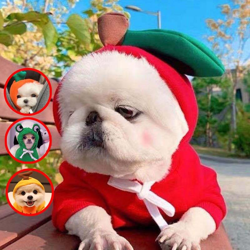 ペット服 コスチューム パーカー 帽子つき ハロウィーン クリスマス りんご アップルデザイン 猫服 犬服 面白い 小型犬 中型犬 春夏秋冬用 仮装 散歩 お出かけ Peac ピーチ ストア 通販 Yahoo ショッピング