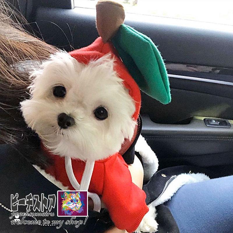 ペット服 コスチューム パーカー 帽子つき ハロウィーン クリスマス りんご アップルデザイン 猫服 犬服 面白い 小型犬 中型犬 春夏秋冬用 仮装 散歩 お出かけ Peac ピーチ ストア 通販 Yahoo ショッピング