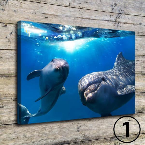 30 40cm アートパネル 印刷油絵 キャンバスパネル イルカ ウミガメ 海底 ビーチ 砂浜 壁掛け インテリア絵画 ノンフレーム Af D038 Peachyshop 通販 Yahoo ショッピング
