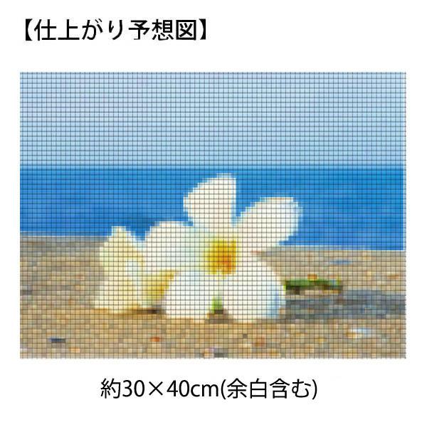 フル ダイヤモンド刺繍 キット ビーズ刺繍 ハワイアン プルメリア 南国 海 モザイクアート リハビリ 趣味 絵画 カラービーズ ハンドメイド Ds 145 Peachyshop 通販 Yahoo ショッピング