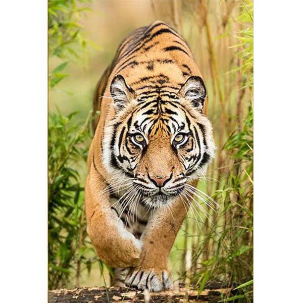 ビーズ刺繍　虎 ビーズ刺繍】虎のひとやすみビーズブローチ - 気になるアイテム