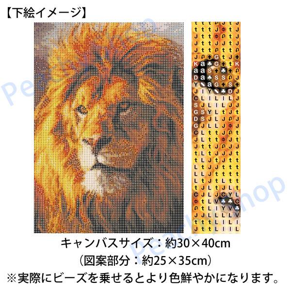 中級 フル ダイヤモンドアート キット ビーズ刺繍 ライオン りりしい