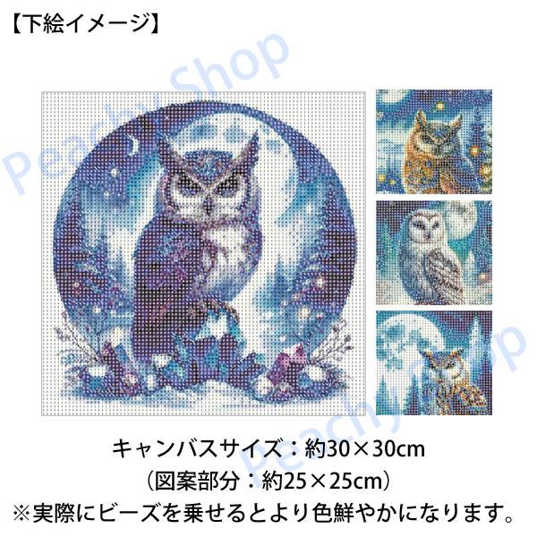 初級 フル ダイヤモンドアート キット ビーズ刺繍 幻想的