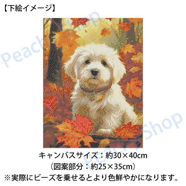 中級 フル ダイヤモンドアート キット ビーズ刺繍 マルチーズ 白い犬  