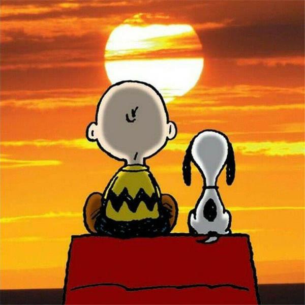 フル ダイヤモンド刺繍 キット ビーズ刺繍 スヌーピー 夕日 サンセット 後ろ姿 モザイクアート リハビリ 趣味 絵画 カラービーズ ハンドメイド Ds C1570 Peachyshop 通販 Yahoo ショッピング