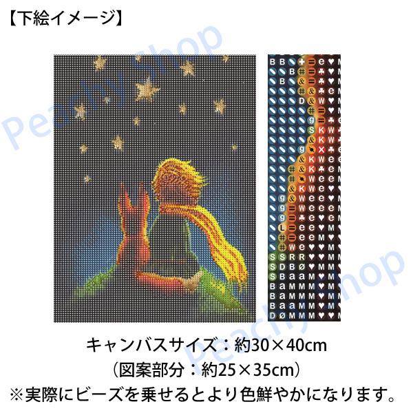 中級 フル ダイヤモンドアート キット ビーズ刺繍 星の王子様 童話