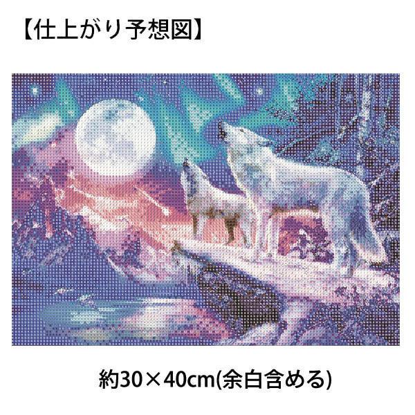 中級 フル ダイヤモンドアート キット ビーズ刺繍 幻想的