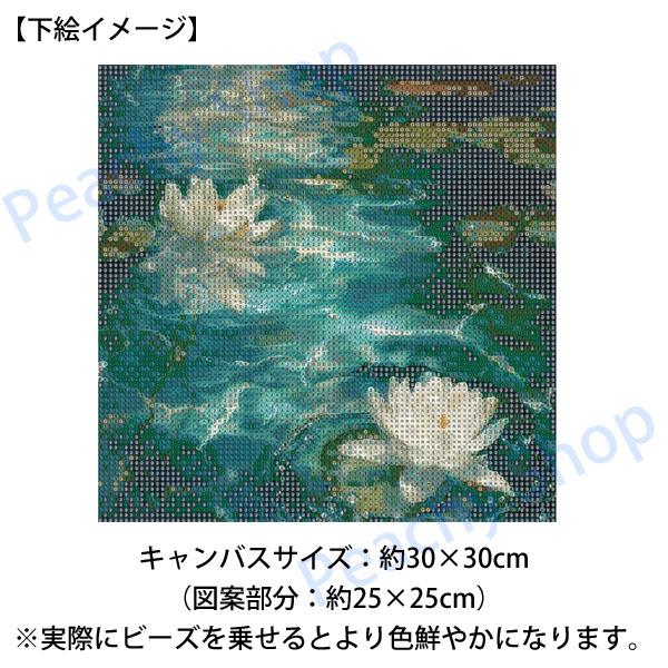 ダイヤモンドアート特殊ビーズ カラフルな女性と蓮の花のアート 30×30cm 初級 フル ダイヤモンドアート キット ビーズ刺繍 蓮 スイレン 池に