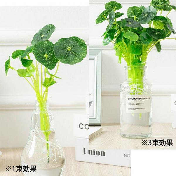 1束 選べる4種 造花 水草 浮草 根っこ付き ハス イモの葉 クローバー フェイクグリーン インテリアフラワー イミテーション ディスプレイ |  | 09