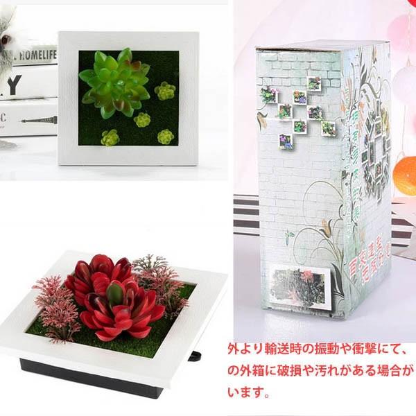 壁掛3D立体 15×15cm 多肉植物 寄せ植え グリーンフレームアレンジ