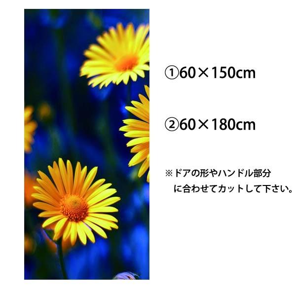 冷蔵庫ステッカー トリックアート 黄色い花 マーガレット フラワー だまし絵シール インテリア Diy リメイク Ws Bx033 Peachyshop 通販 Yahoo ショッピング