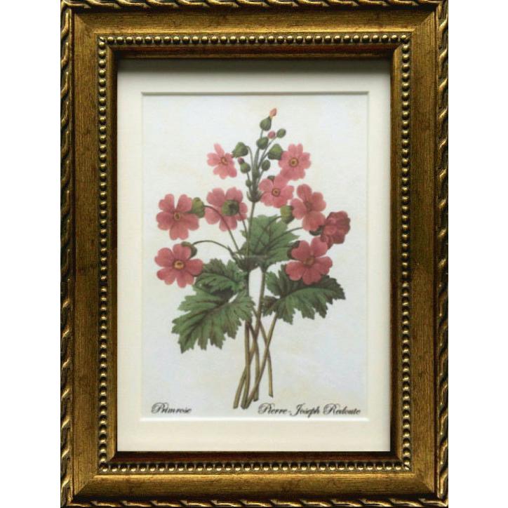 pealimo Sサイズ 22cm×17cm インテリア 絵画 モダン 壁飾り ピエール ジョセフ ルドゥーテ ボタニカルアート 植物画 絵