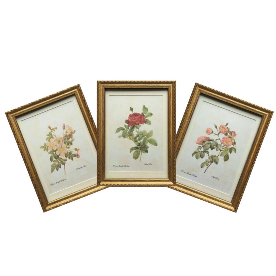 メール便なら送料無料 Pealimo Mサイズ お得３枚セット 34cm 約25cm ピエール ジョセフ ルドゥーテ バラ3種 お得セット 額装品 植物画 花 額縁 インテリア 絵画 額絵 額 おしゃれ Bs 01 植物画 ボタニカルアート Pealimo 通販 Yahoo ショッピング 最新情報