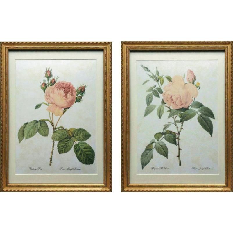 超人気 Pealimo インテリア 絵画 モダン 壁飾り ピエール ジョセフ ルドゥーテ ｌサイズ 46cm 約33cm バラ２種 お得セット 植物画 花 おしゃれ 壁掛け 絵 植物 最安値に挑戦 Tprepara Cl