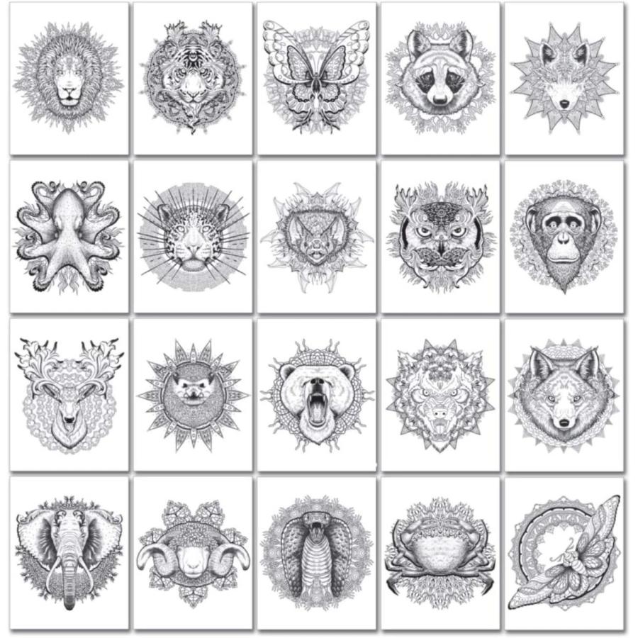 カメレオンペン 塗り絵 マンダラゴーンワイルド カラーリングブック 正規品 B07x442vfw Pear Select 通販 Yahoo ショッピング