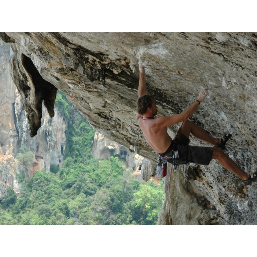 高級な ボルダリング クライミングシューズ キッズ クライミング Beans Shine Gecko Kingfisher シューズ アウトドアシューズ