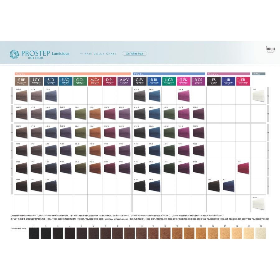 プロステップ ルミシャス E BE 14 80g |  | 04