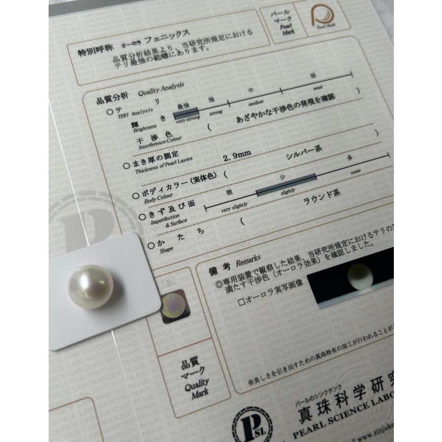 『ビッグサイズ！』白蝶 真珠 南洋 パール フェニックス ルース 14.4mm 真珠科学研究所 Phoenix 鳳凰の画像