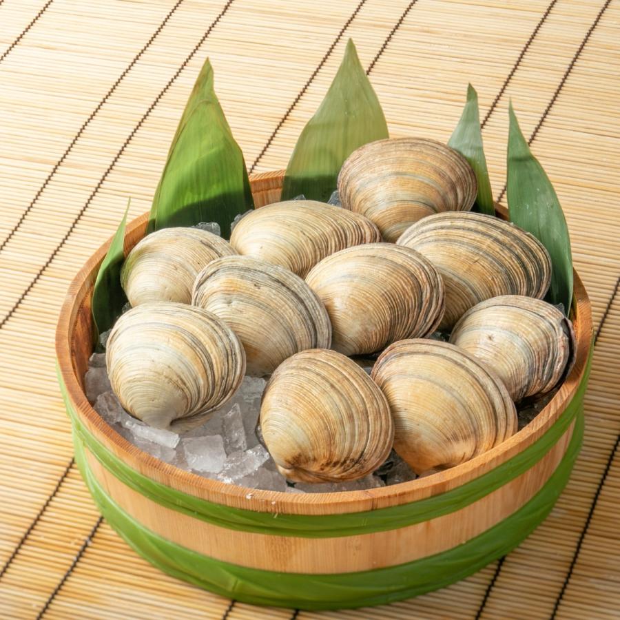 活)蝦夷鮑9~11個(総量約700g) 大あさり8~10個(総量約1.2kg)大満足2種