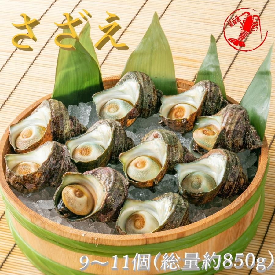 さざえ9〜11個(総量約850g) /【サザエ】 : パール食品店 - 通販