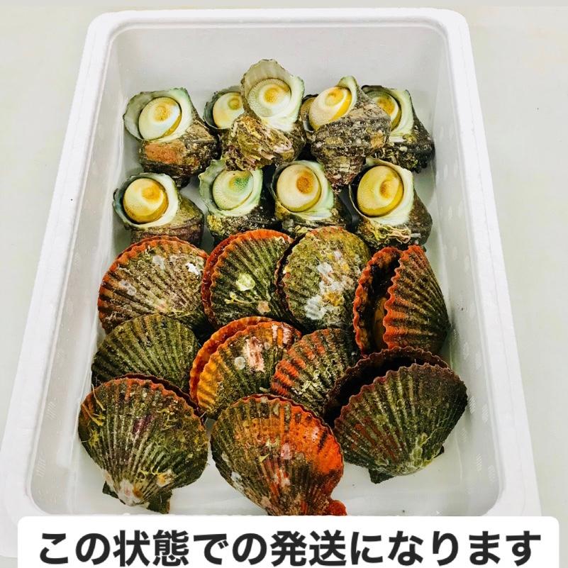 ヒオウギ貝10個 さざえ9 11個 総量約850g 絶品2種の貝セット アッパ貝 日の出貝 サザエ Szeapp0001 パール食品店 通販 Yahoo ショッピング