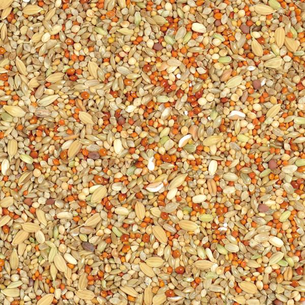 P2 ナチュラルラックス 文鳥ブレンド 1L アミノ酸配合 シードミックス 種餌 NATURALLUX ハッピーホリデイ ブンチョウ NL :100048:インコ専門店ぺありー - 通販 - Yahoo!ショッピング P2 ナチュラルラックス 文鳥ブレンド 1L アミノ酸配合 シードミックス 種餌 NATURALLUX ハッピーホリデイ ブンチョウ NL :100048:インコ専門店ぺありー - 通販 - Yahoo!ショッピング