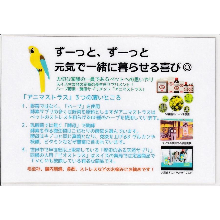 毛引き改善・免疫強化 etc.】Bio-Strath アニマストラス（液体