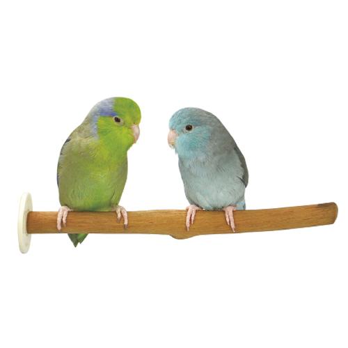 【廃番商品】SANKO ラタンパーチ(20) 長さ約20cm 籐の木 自然木 止まり木 インコ 鳥 枝 マメルリハ コザクラインコ ボタンインコ ウロコインコ オカメインコ | 三晃商会