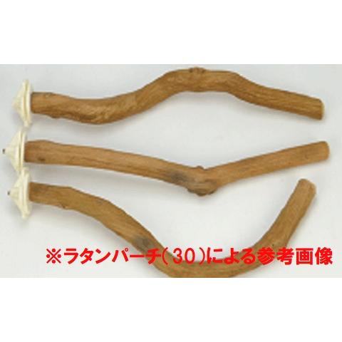 【廃番商品】SANKO ラタンパーチ(20) 長さ約20cm 籐の木 自然木 止まり木 インコ 鳥 枝 マメルリハ コザクラインコ ボタンインコ ウロコインコ オカメインコ | 三晃商会 | 02