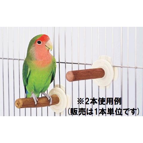 三晃商会 SANKO ラタンパーチ(8) 長さ約8cm 籐の木 短い 自然木 止まり