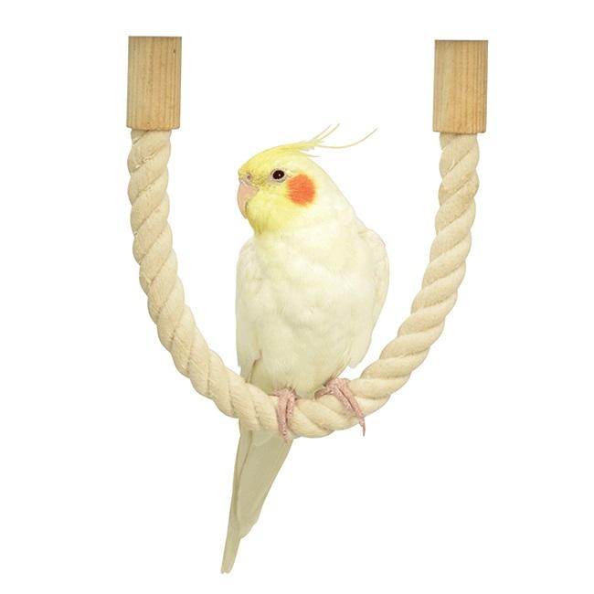 市場 送料無料 おやすみステップ インコのおもちゃ Sanko はしご