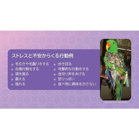 ◇毛引きやストレスの緩和に◇【獣医師プロデュース】VETAFARM/ベタ