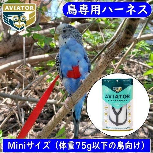 【新版】バードハーネス アヴィエーター（Mini/ミニ）ハーネス＆リーシュ ハーネス 胴輪 セキセイインコ マメルリハ コザクラインコ サザナミインコ 鳥 | 