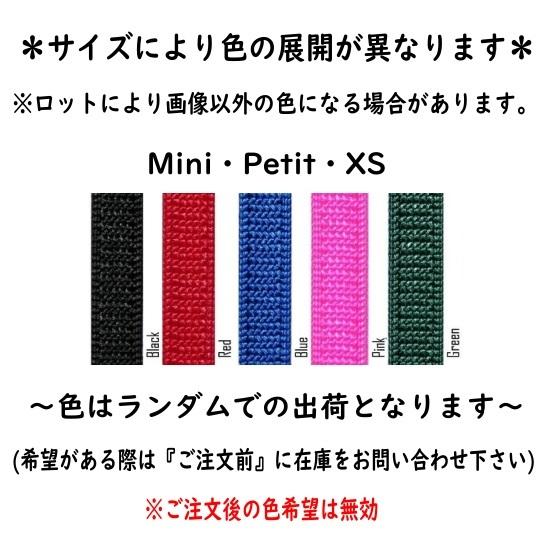 【新版】バードハーネス アヴィエーター（Mini/ミニ）ハーネス＆リーシュ ハーネス 胴輪 セキセイインコ マメルリハ コザクラインコ サザナミインコ 鳥 |  | 01