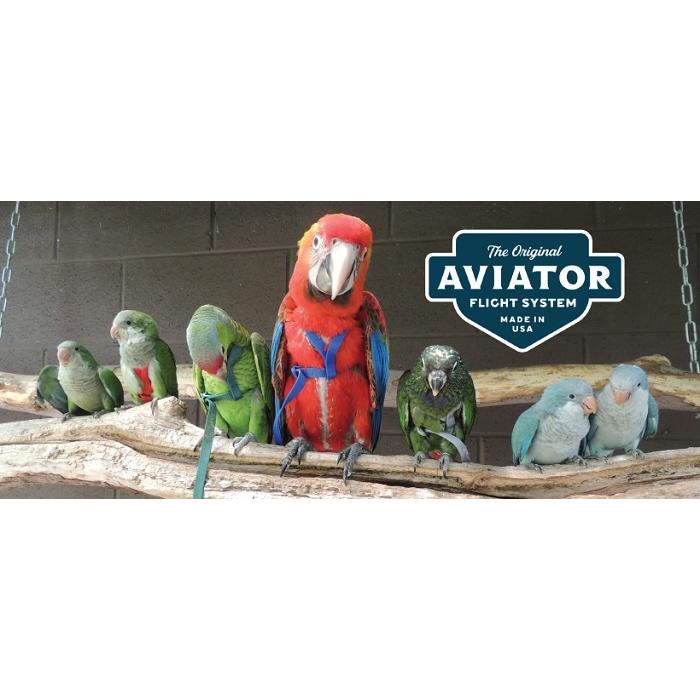 【新版】バードハーネス アヴィエーター（Mini/ミニ）ハーネス＆リーシュ ハーネス 胴輪 セキセイインコ マメルリハ コザクラインコ サザナミインコ 鳥 |  | 03