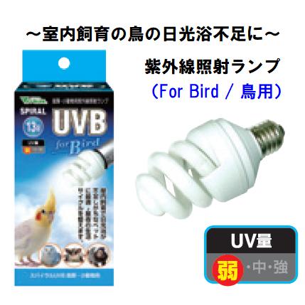 13W 鳥の日光浴用ランプ】Vivaria スパイラル UVB for Bird 13W（電球