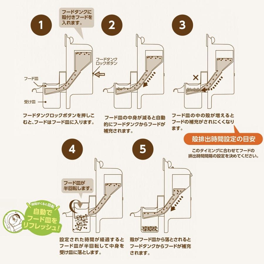 マルカン 【電動フードフィーダー】CASA オートフィーダー マルカン 【電動フードフィーダー】CASA オートフィーダー