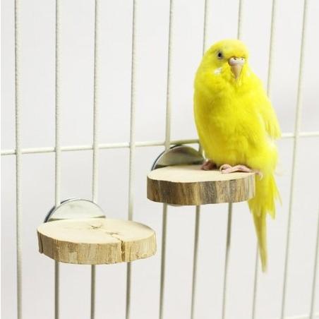 超硬！インポート ジャワツリーステップパーチ 止まり木 おやすみボード 休憩ボード かじり木 ボルダリング 踊り場 おもちゃ ウッドステージ |  | 01