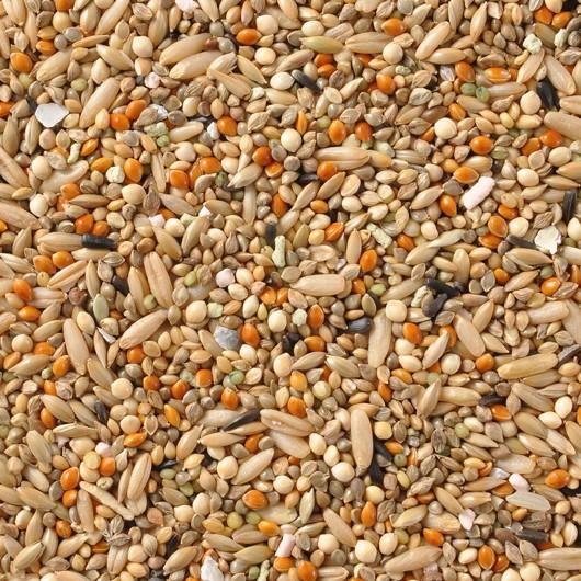 黒瀬ペットフード　mania セキセイインコ専用 3リットル　鳥のエサ　まとめて Amazon | mania(マニア) プロショップ専用 セキセイインコ 3