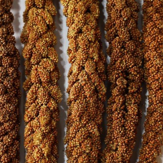 黒瀬ペットフード 【賞味期限2025/10/31】【農薬不使用】自然派宣言