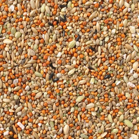 【オゾン洗浄済】マニア ブンチョウ 3L プロショップ専用（皮付き）6種類の野菜と3種類のフルーツ入り 黒瀬ペットフード 文鳥 餌 mania | 黒瀬ペットフード | 01