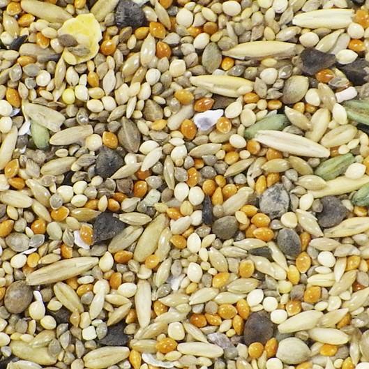 【オゾン洗浄済】マニア 中型インコ（低脂肪タイプ）1L 皮付き 6種類の野菜と3種類のフルーツ入り オカメインコ ダイエット 黒瀬ペットフード 餌 専用 | 黒瀬ペットフード | 01