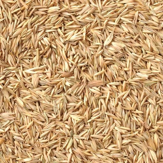 黒瀬ペットフード オーチャードグラスの種 15g ヘルシーな