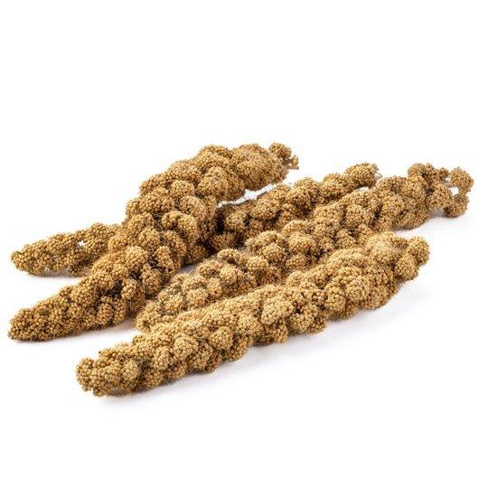 黒瀬ペットフード 【国産 農薬不使用】熊本県産 あわの穂 80g 数量限定