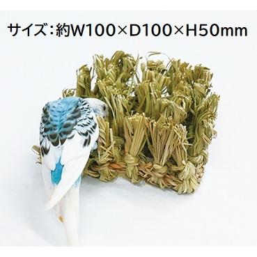 カワイ(ペット用品) 【小さめタイプ】KAWAI もじゃもじゃ（S