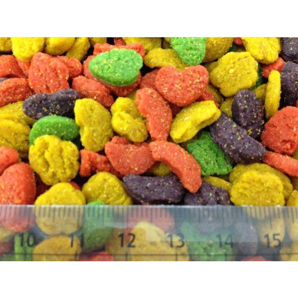 新品未使用 インゴット フリーダム システム パレット 40色 新品未使用 インゴット フリーダム システム パレット 40色 新品未使用