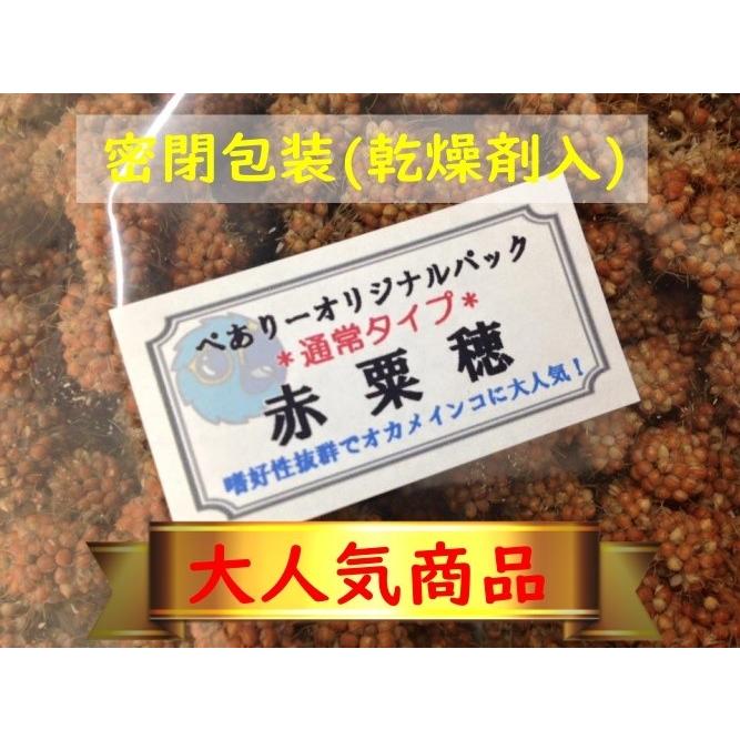 密閉包装(乾燥剤入)】赤粟穂 180g 〜当店オリジナルパック〜 穂付きで